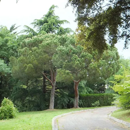 Villa Kauf Santa Cristina d'Aro